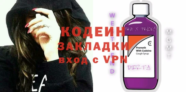 хмурый Алзамай